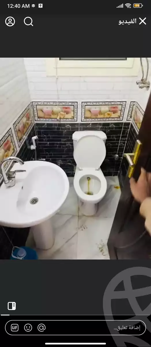 https://aqarmap.com.eg/en/listing/5914779-for-rent-cairo-faisal-el-lebeny