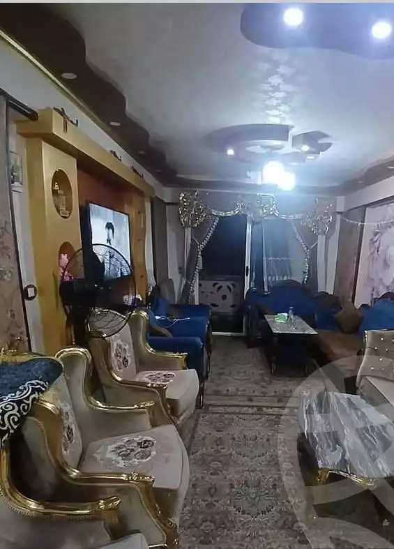 https://aqarmap.com.eg/en/listing/5918590-for-sale-alexandria-l-jmy-lbytsh-el-reyad-st