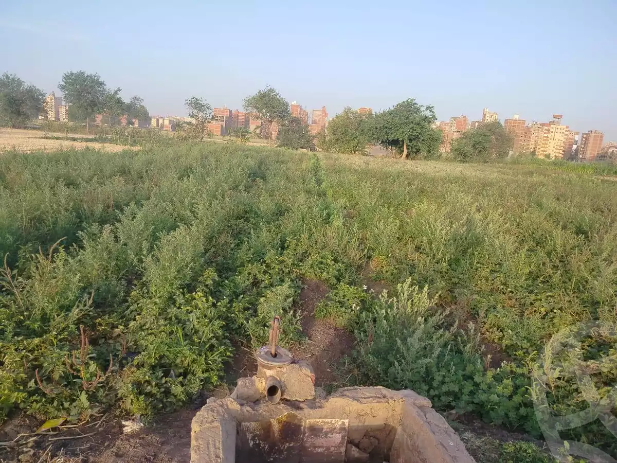 https://aqarmap.com.eg/ar/listing/5919179-for-sale-gharbia-tanta-tanta-city