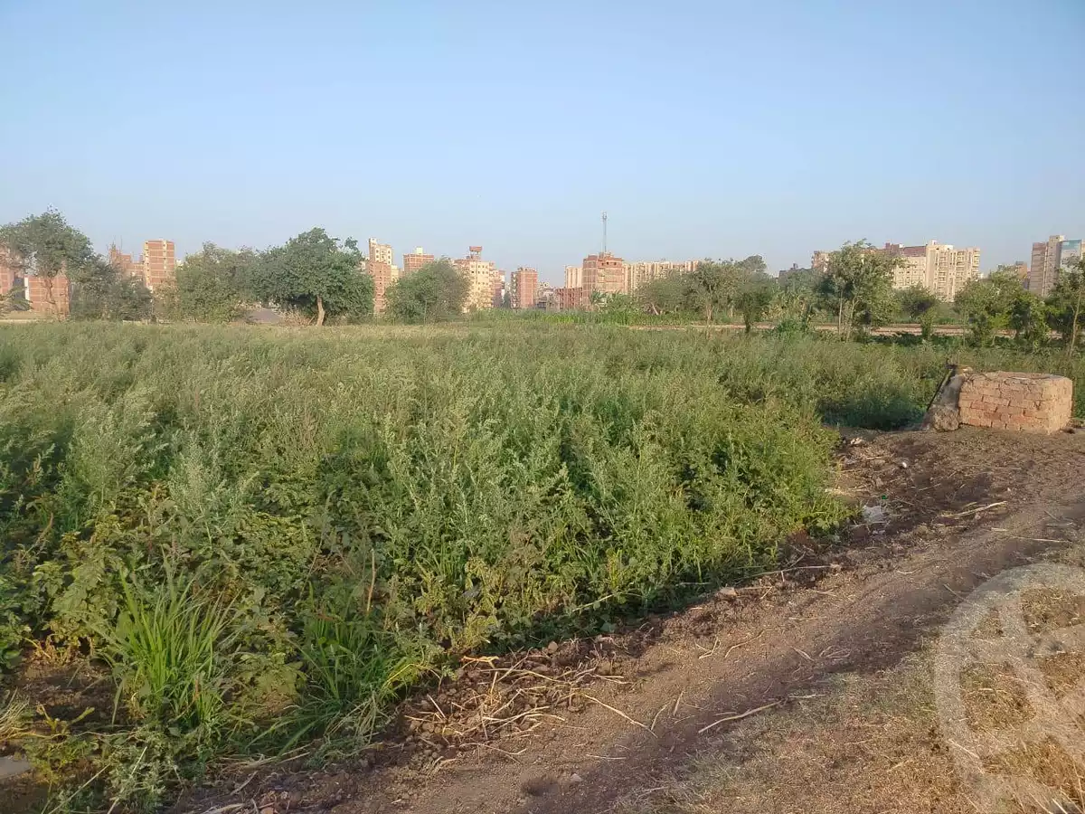 https://aqarmap.com.eg/ar/listing/5919179-for-sale-gharbia-tanta-tanta-city