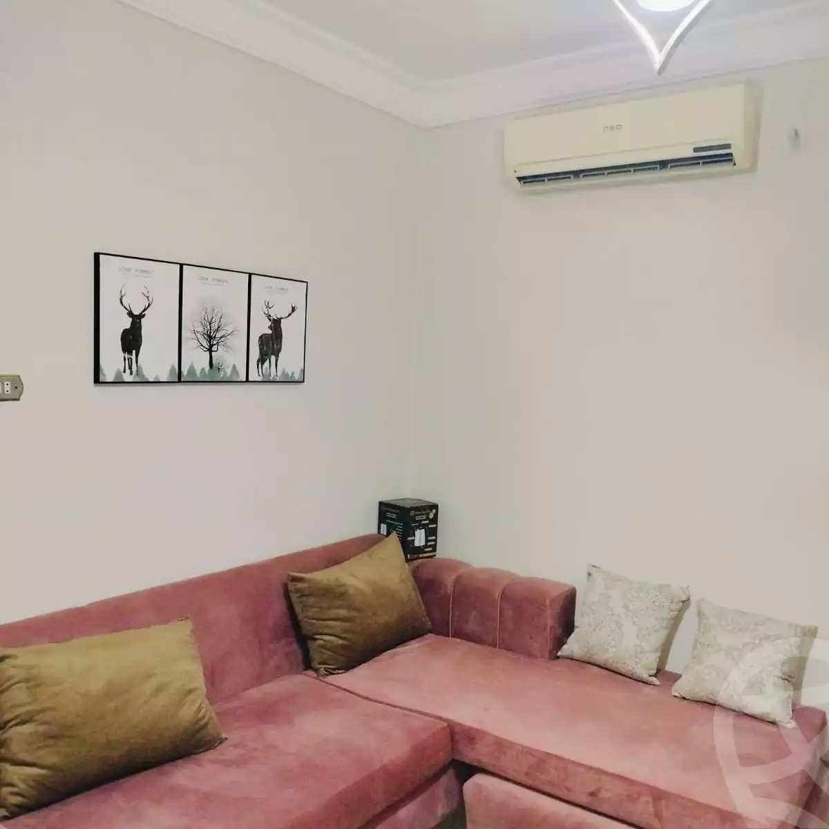 https://aqarmap.com.eg/en/listing/5920508-for-rent-cairo-el-agouza-shaheen-st