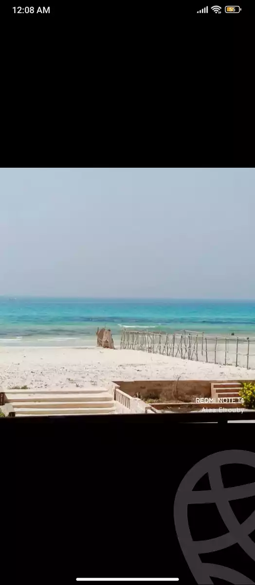 https://aqarmap.com.eg/en/listing/5921613-for-sale-alexandria-l-jmy-lbytsh-street-8