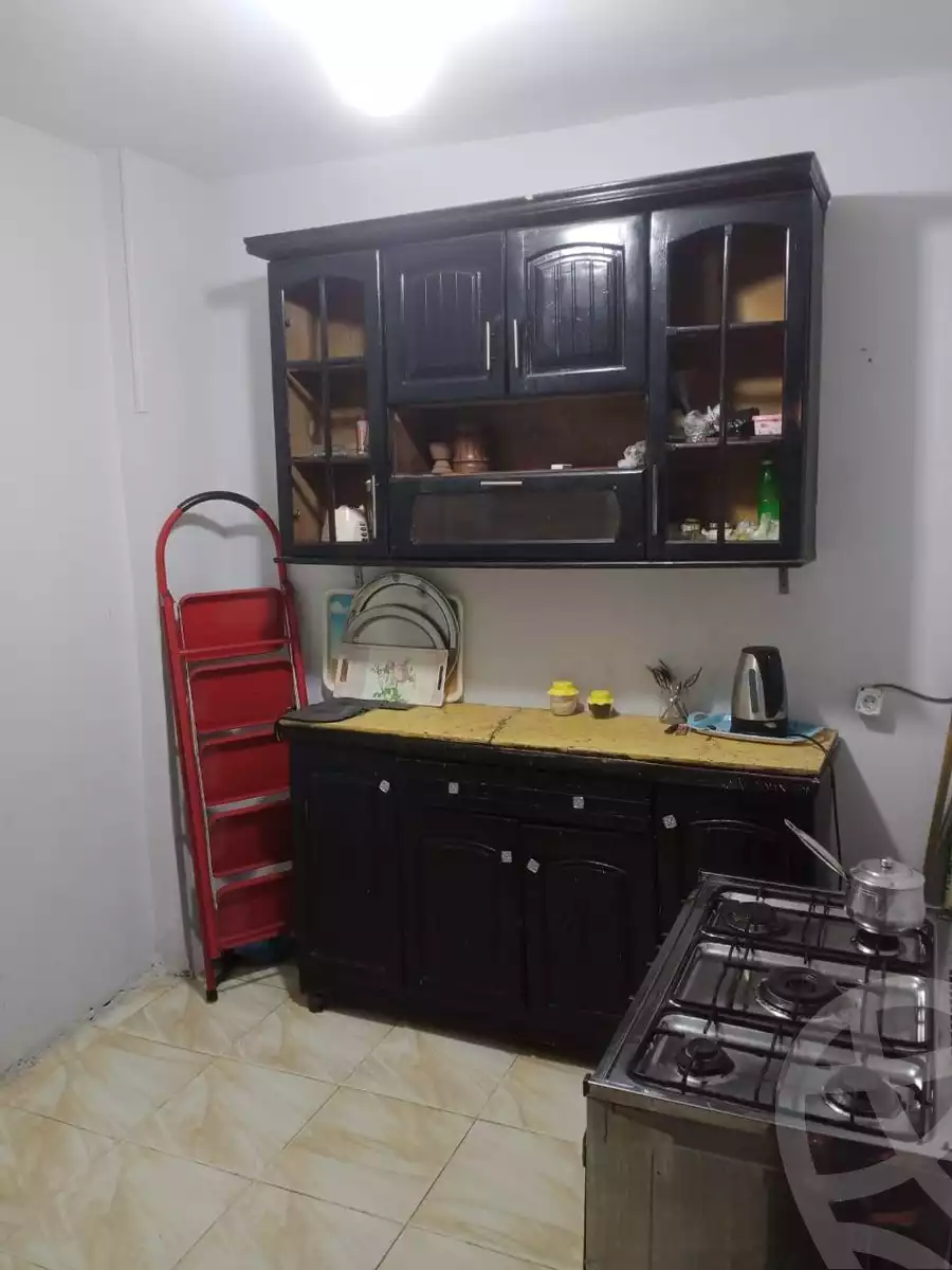 https://aqarmap.com.eg/en/listing/5923932-for-rent-cairo-ljyz-el-moneeb