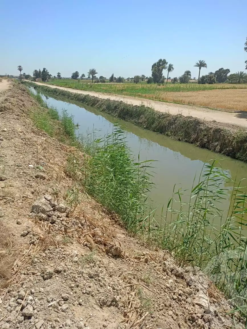 https://aqarmap.com.eg/en/listing/5926567-for-sale-el-fayoum-tamiya-kom-ushaim