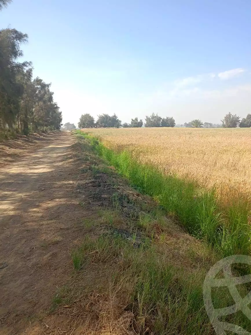 https://aqarmap.com.eg/en/listing/5926567-for-sale-el-fayoum-tamiya-kom-ushaim