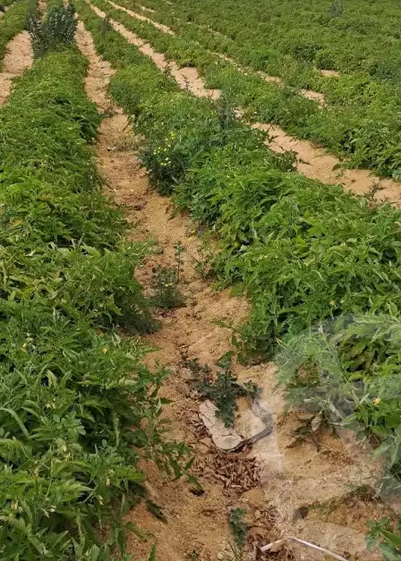 https://aqarmap.com.eg/en/listing/5926608-for-sale-alexandria-cairo-alexandria-desert-road