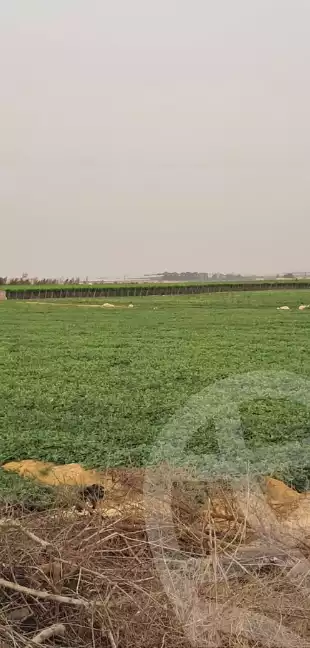 https://aqarmap.com.eg/en/listing/5926715-for-sale-beheira-wadi-el-natrun
