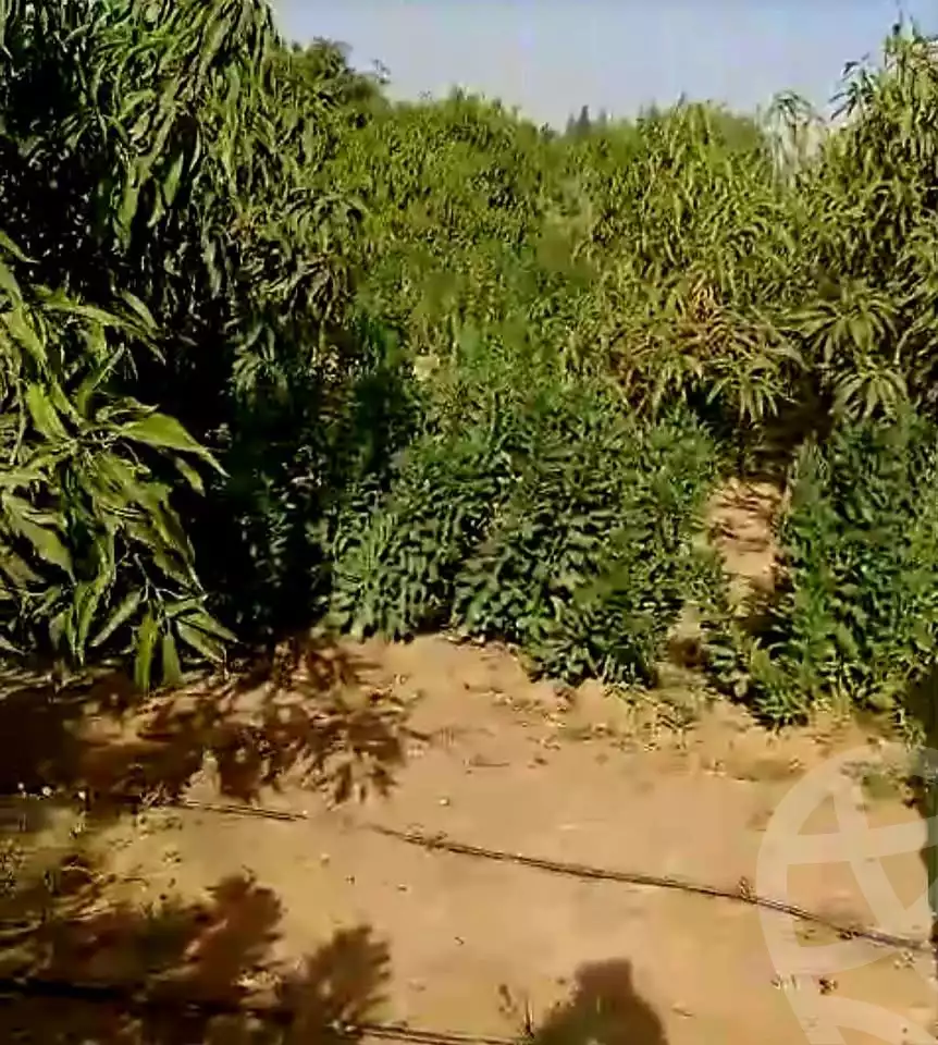 https://aqarmap.com.eg/en/listing/5926828-for-sale-beheira-wadi-el-natrun