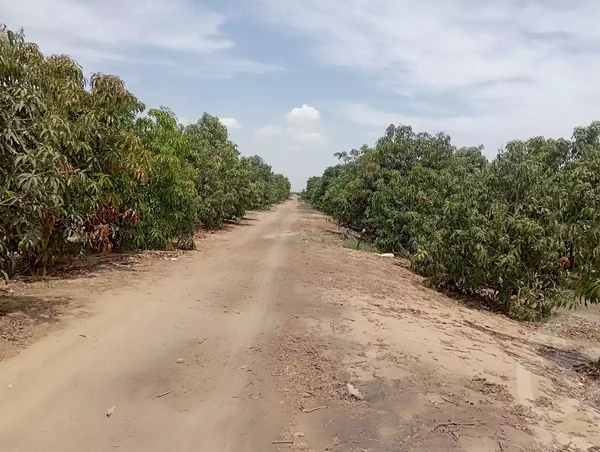 https://aqarmap.com.eg/en/listing/5926849-for-sale-ismailia-ismailia-city