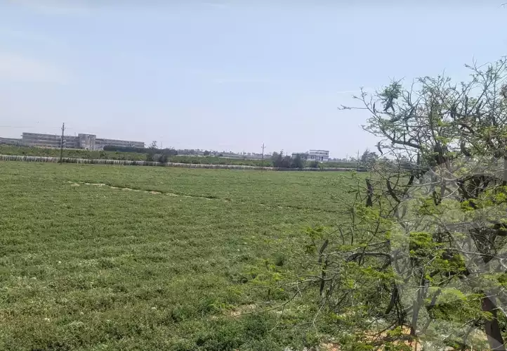 https://aqarmap.com.eg/en/listing/5929661-for-sale-cairo-tryq-skndry-lzr-y