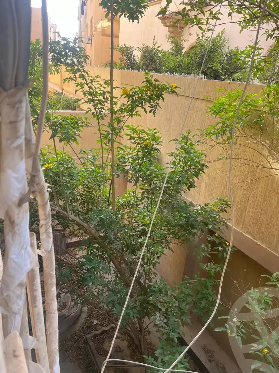 https://aqarmap.com.eg/en/listing/5932251-for-rent-cairo-new-cairo-el-narges-el-narges-1-el-mosheer-ahmed-badawi-st
