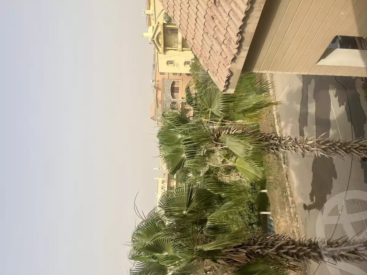 https://aqarmap.com.eg/en/listing/5933546-for-sale-cairo-new-cairo-el-ahyaa-first-neighborhood-no-32