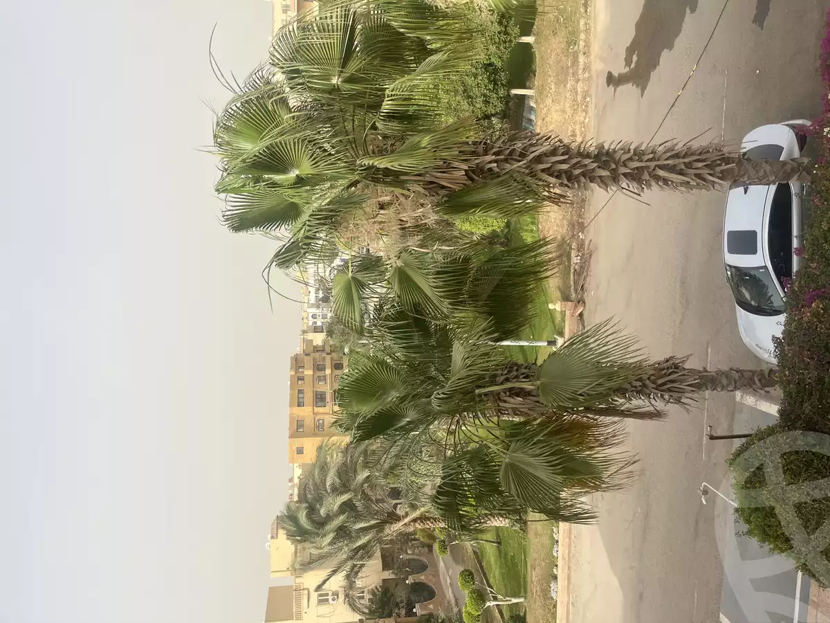 https://aqarmap.com.eg/en/listing/5933546-for-sale-cairo-new-cairo-el-ahyaa-first-neighborhood-no-32