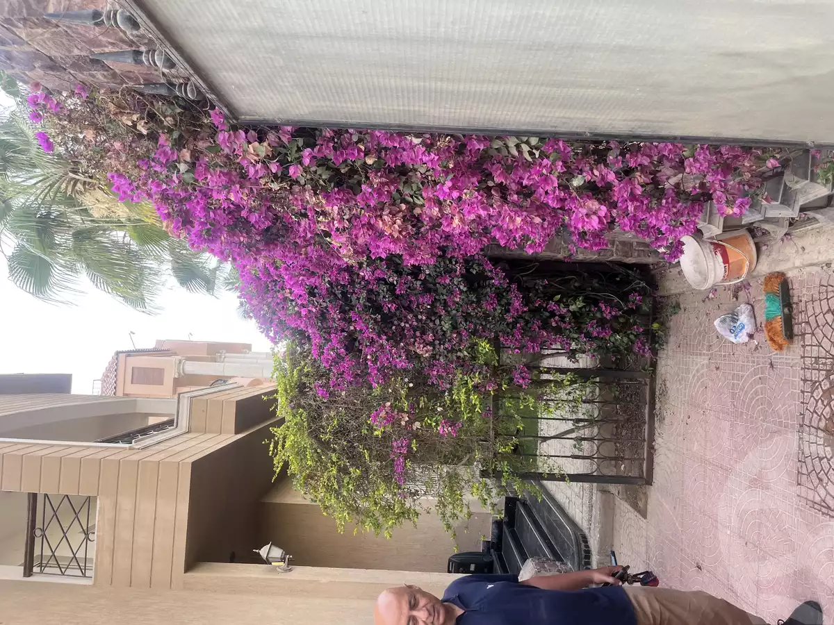 https://aqarmap.com.eg/en/listing/5933546-for-sale-cairo-new-cairo-el-ahyaa-first-neighborhood-no-32