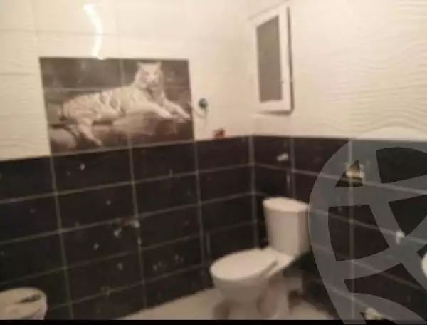 https://aqarmap.com.eg/ar/listing/5933921-for-rent-alexandria-l-jmy-lbytsh