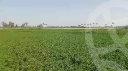 https://aqarmap.com.eg/ar/listing/5935750-for-sale-alexandria-cairo-alexandria-desert-road