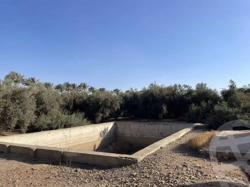 https://aqarmap.com.eg/en/listing/5936450-for-sale-cairo-ljyz