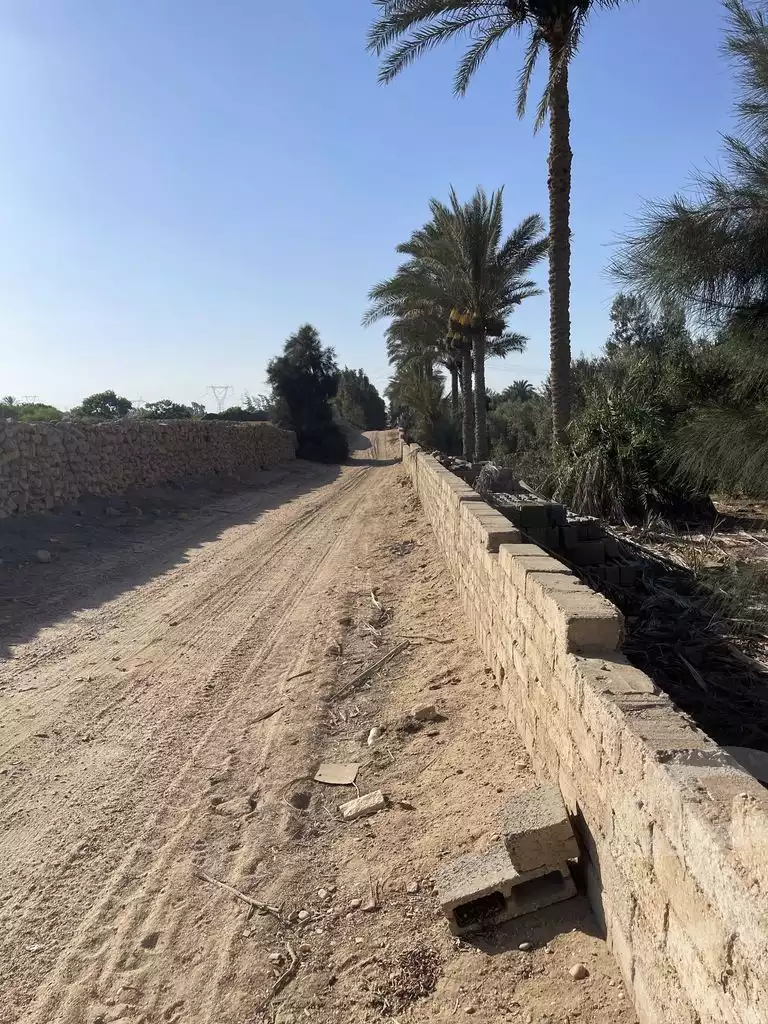 https://aqarmap.com.eg/en/listing/5936457-for-sale-cairo-el-mansuriyyah-el-saliba