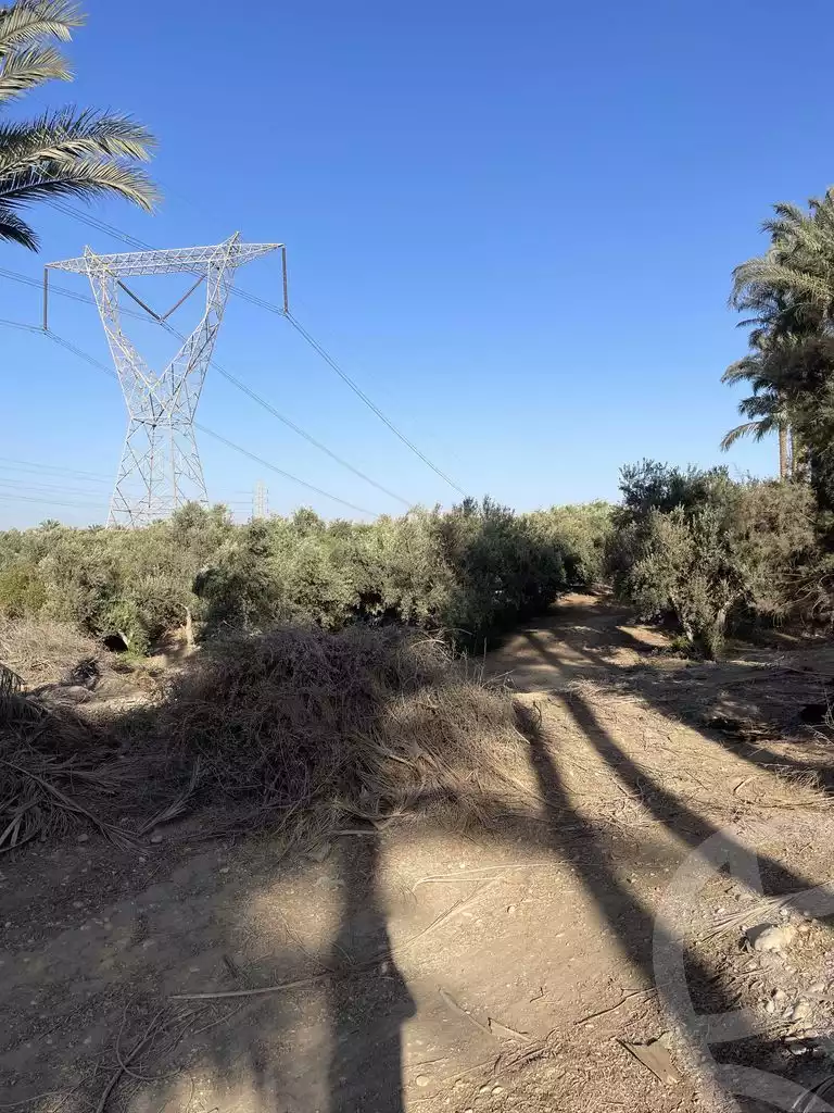 https://aqarmap.com.eg/ar/listing/5938145-for-sale-cairo-el-mansuriyyah-el-saliba