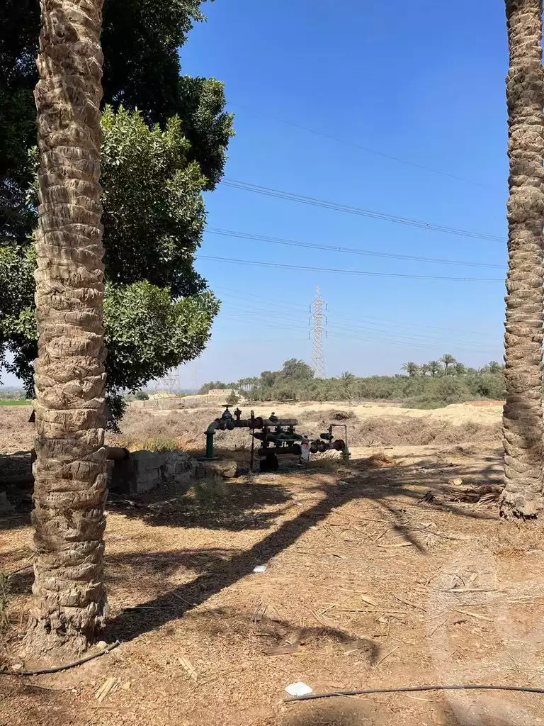 https://aqarmap.com.eg/en/listing/5938214-for-sale-cairo-el-mansuriyyah-el-saliba
