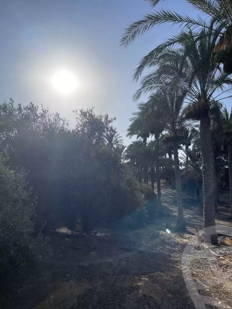 https://aqarmap.com.eg/ar/listing/5938627-for-sale-cairo-el-mansuriyyah-el-saliba