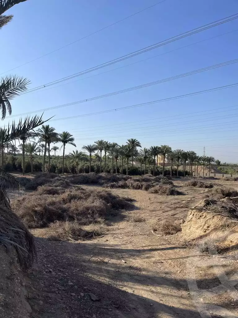 https://aqarmap.com.eg/en/listing/5938662-for-sale-cairo-ljyz