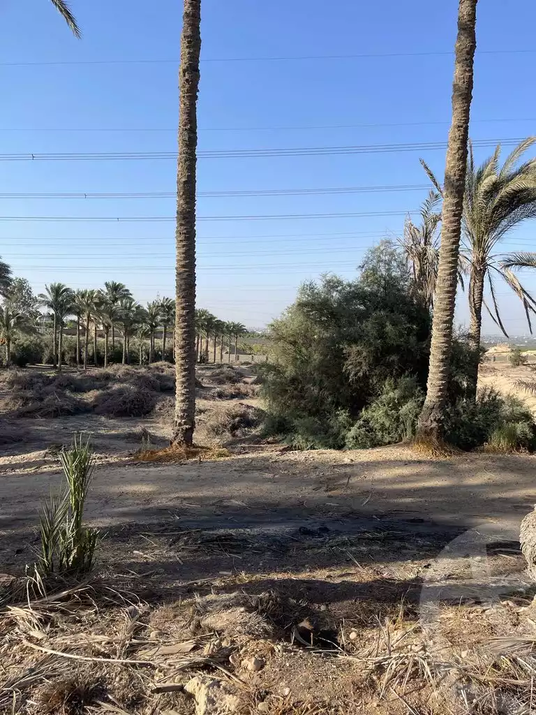 https://aqarmap.com.eg/en/listing/5938662-for-sale-cairo-ljyz