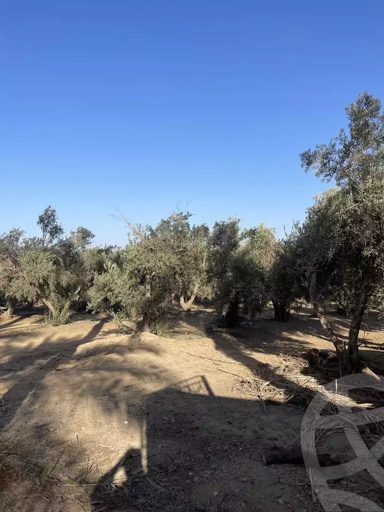 https://aqarmap.com.eg/en/listing/5938684-for-sale-cairo-faisal