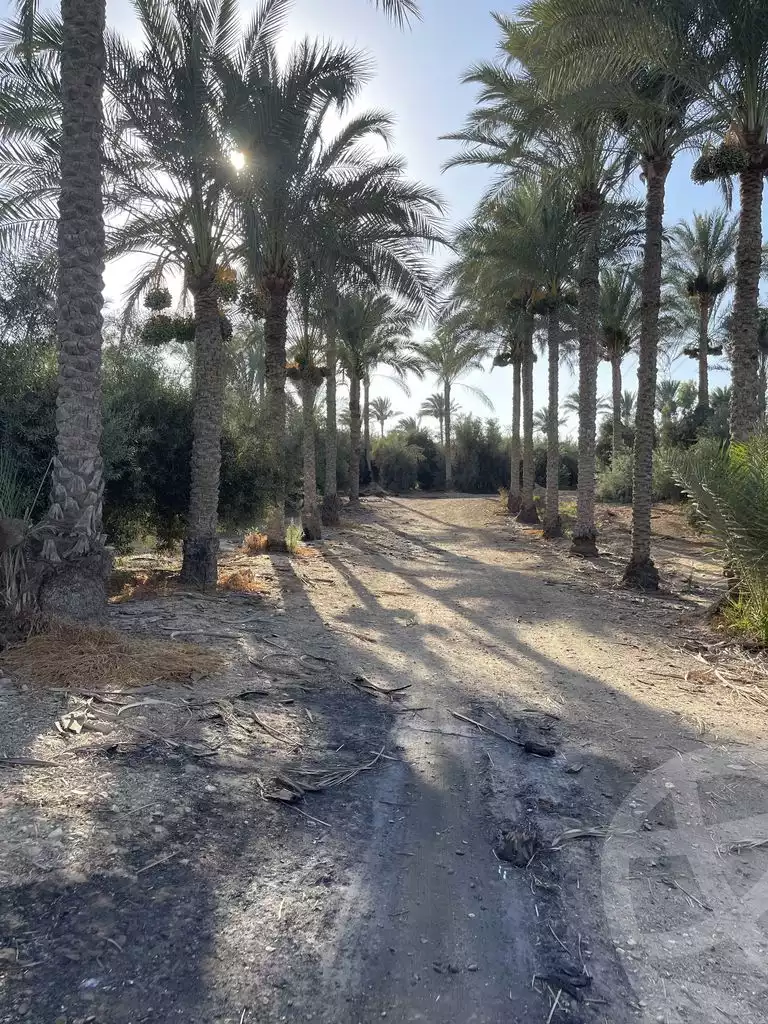 https://aqarmap.com.eg/en/listing/5938684-for-sale-cairo-faisal