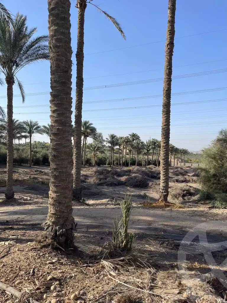 https://aqarmap.com.eg/en/listing/5938736-for-sale-cairo-ljyz