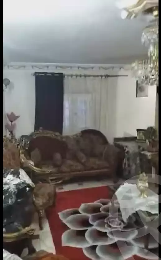 https://aqarmap.com.eg/en/listing/5938744-for-sale-alexandria-l-jmy-lbytsh-el-tayar-st