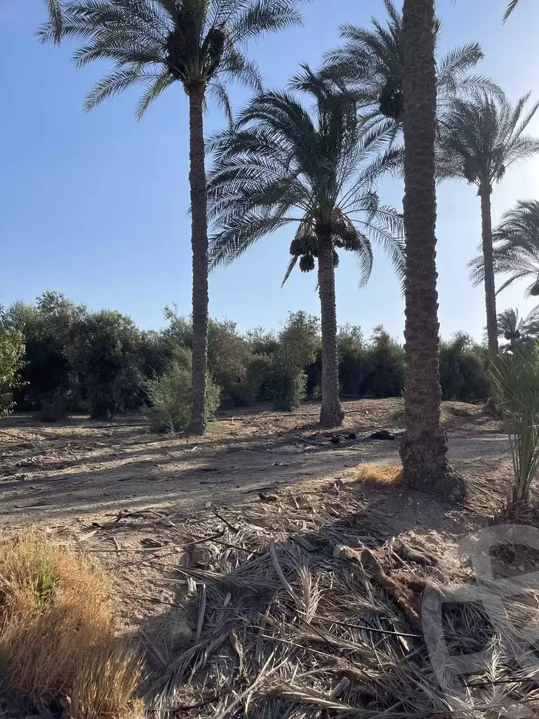 https://aqarmap.com.eg/en/listing/5938761-for-sale-cairo-ljyz