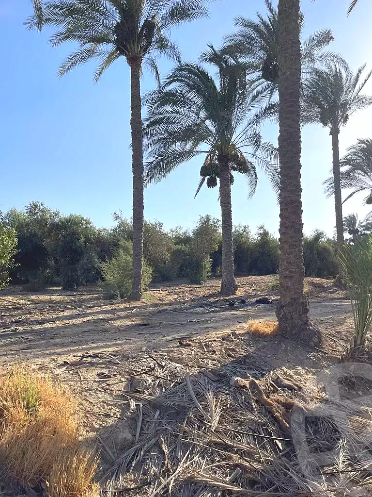 https://aqarmap.com.eg/ar/listing/5938907-for-sale-cairo-ljyz