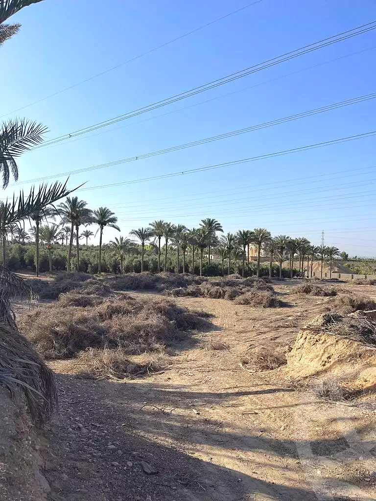 https://aqarmap.com.eg/ar/listing/5938961-for-sale-cairo-ljyz