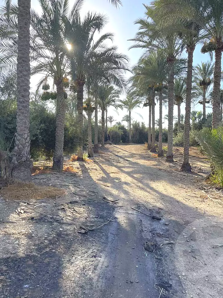 https://aqarmap.com.eg/ar/listing/5938961-for-sale-cairo-ljyz