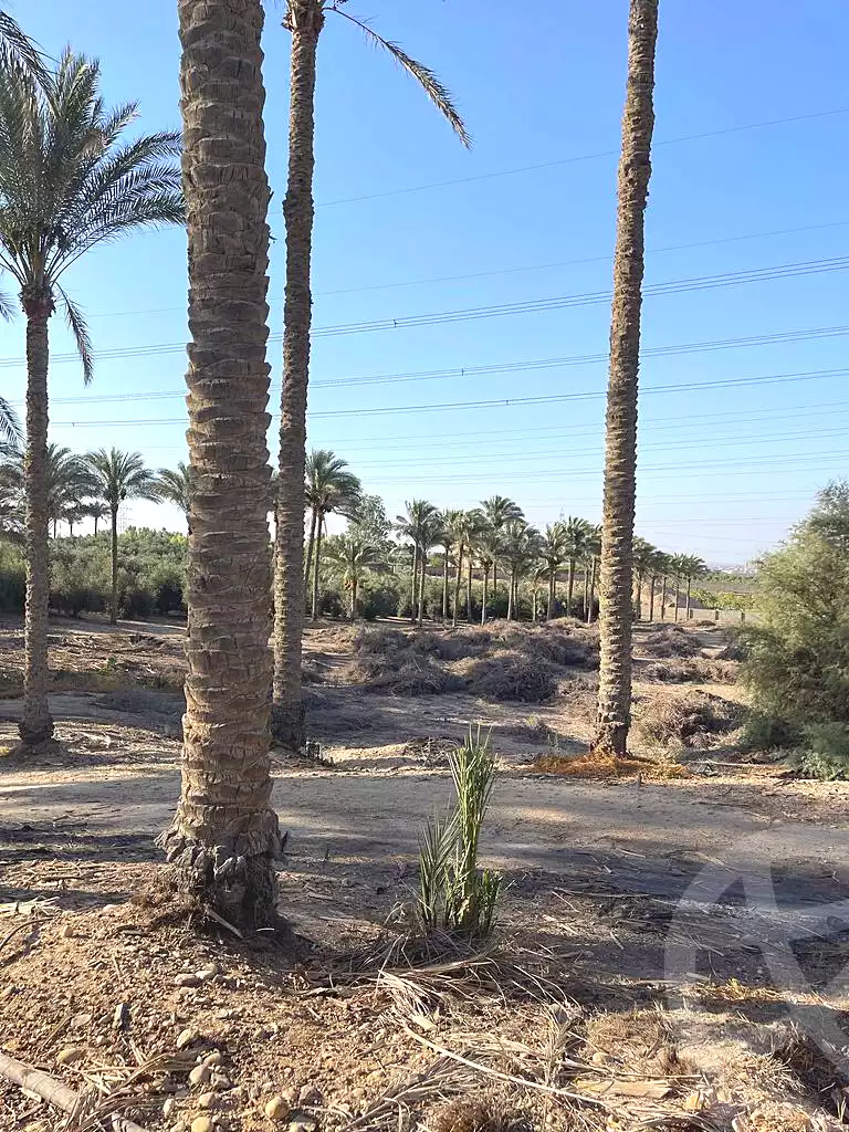 https://aqarmap.com.eg/ar/listing/5938961-for-sale-cairo-ljyz