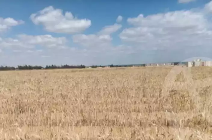 https://aqarmap.com.eg/en/listing/5939167-for-sale-beheira-wadi-el-natrun