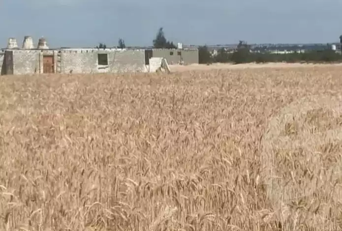 https://aqarmap.com.eg/en/listing/5939167-for-sale-beheira-wadi-el-natrun