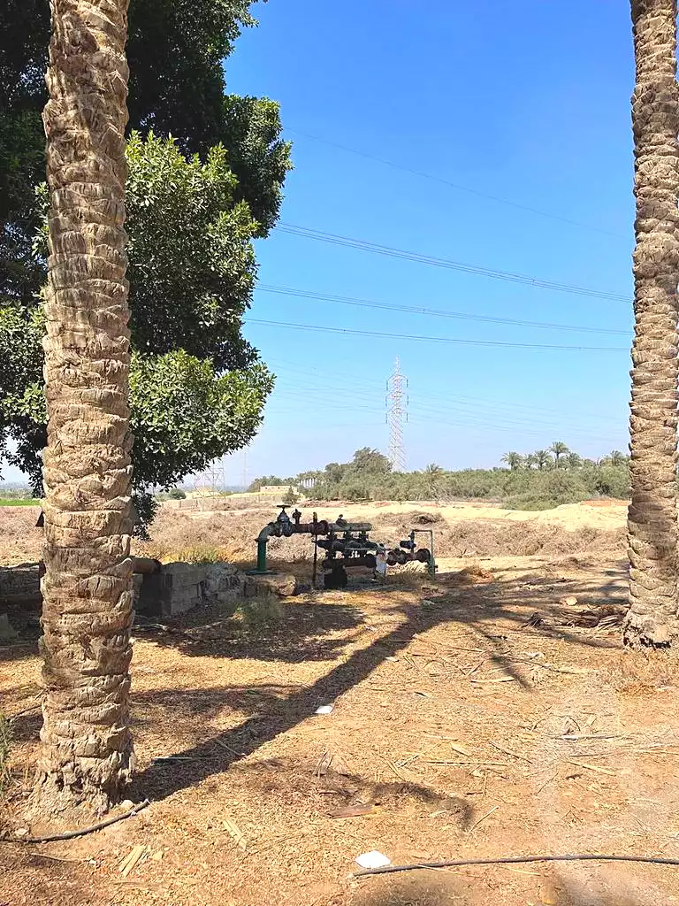 https://aqarmap.com.eg/en/listing/5942179-for-sale-cairo-el-mansuriyyah-el-saliba