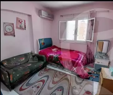 https://aqarmap.com.eg/ar/listing/5942834-for-sale-alexandria-l-jmy-lbytsh-mohamed-el-fardi-st