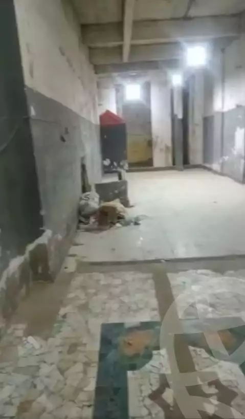https://aqarmap.com.eg/en/listing/5943886-for-rent-cairo-ain-shams-el-naam