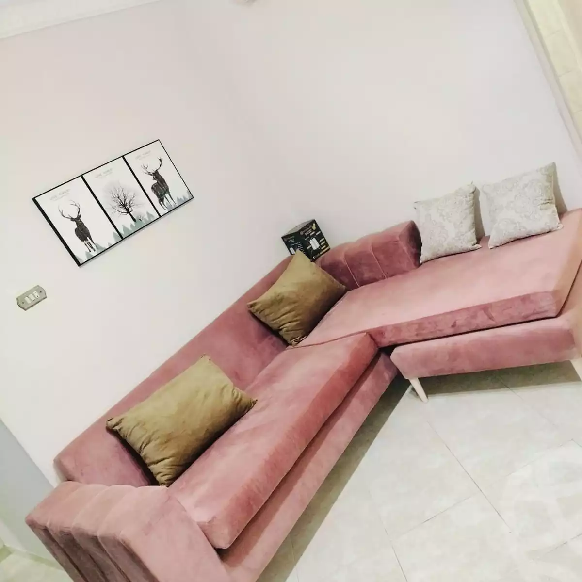 https://aqarmap.com.eg/en/listing/5944370-for-rent-cairo-el-mohandesen-shareaa-ahmed-orabi
