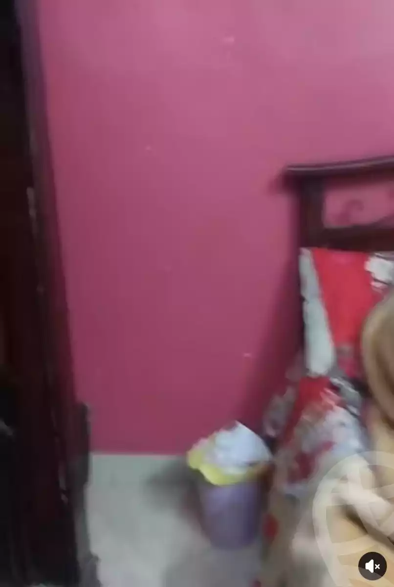 https://aqarmap.com.eg/en/listing/5944819-for-sale-cairo-faisal-hassan-mohamed-st