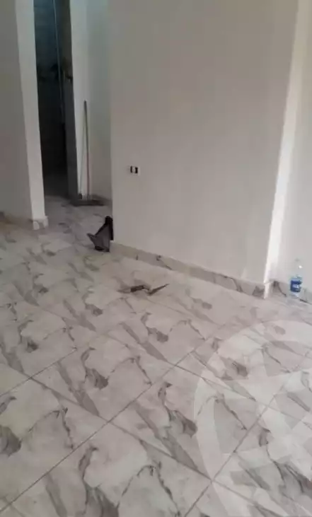 https://aqarmap.com.eg/en/listing/5945891-for-rent-cairo-ljyz-om-el-masreen