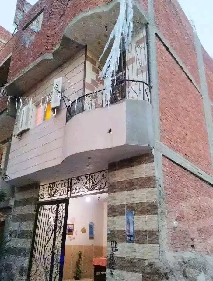 https://aqarmap.com.eg/en/listing/5947177-for-sale-sharqia-faqous