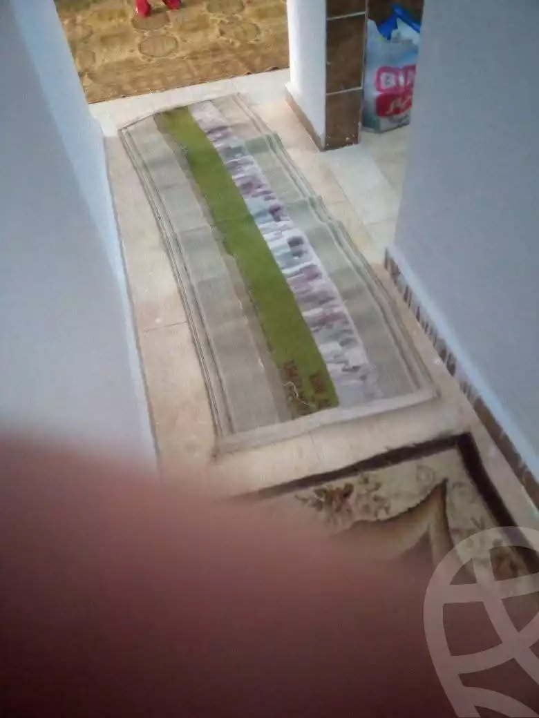 https://aqarmap.com.eg/en/listing/5953184-for-sale-alexandria-l-jmy-el-hanouvel