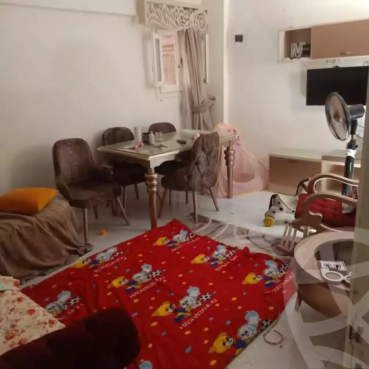 https://aqarmap.com.eg/en/listing/5953711-for-sale-alexandria-l-jmy-lbytsh-el-hay-st