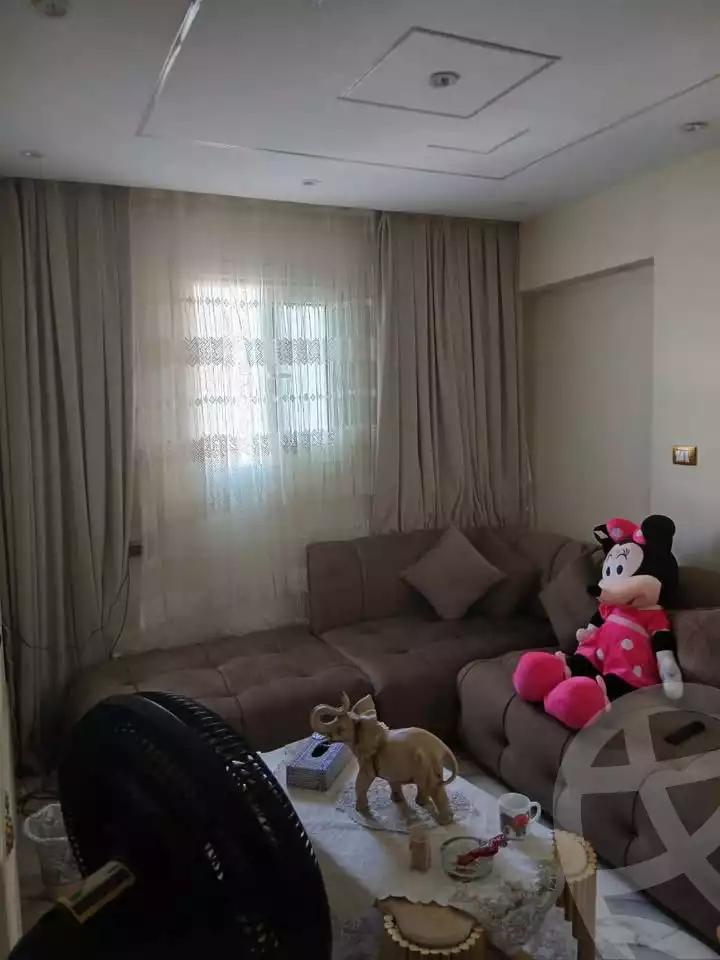 https://aqarmap.com.eg/en/listing/5954070-for-sale-alexandria-bolekly-wnjdt