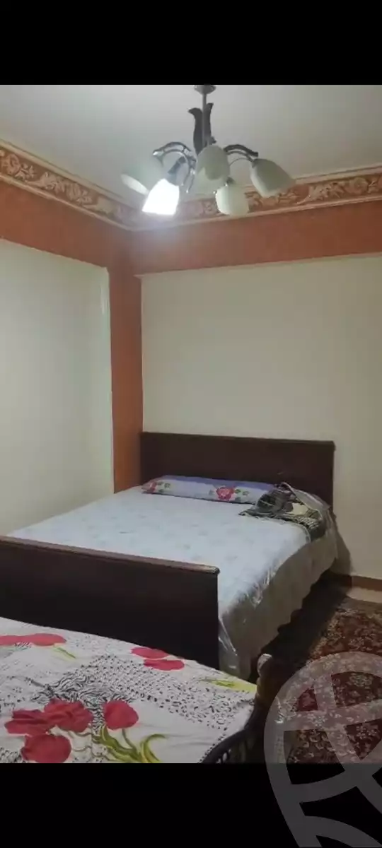 https://aqarmap.com.eg/en/listing/5956679-for-rent-alexandria-l-jmy-bw-ywsf