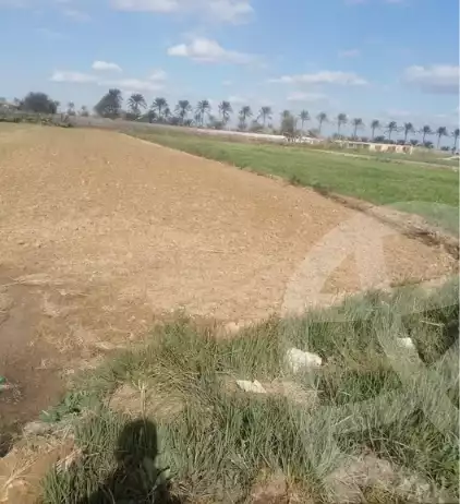 https://aqarmap.com.eg/en/listing/5957179-for-sale-alexandria-cairo-alexandria-desert-road